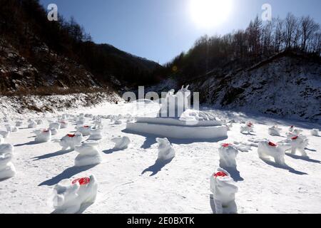 China. Dezember 2020. Henan, CHINA-Mitarbeiter des Skigebiets Funiu Mountain in Luanchuan, Provinz Henan, verbringen zwei Tage, um am 30. Dezember 2020 100 Schneekühe in verschiedenen Formen im Schnee zu bauen, um das Kommen des Jahres 2021 zu begrüßen.Sie hoffen, all das Unglück im Jahr 2020 mit weißem Schnee zu schmelzen und die 2020 zu verlassen, Das neue Jahr ist gekommen, ich glaube, dass alle guten Dinge irgendwann kommen werden.Sie nutzen diese besondere Art, um Segen für das kommende Jahr des Ochsen zu senden, in der Hoffnung, dass alle im neuen Jahr gesegnet werden. Quelle: SIPA Asia/ZUMA Wire/Alamy Live News Stockfoto