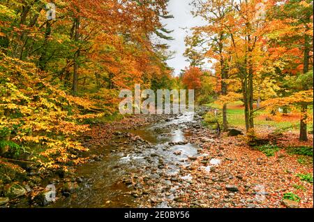 Blick von der Brookdale Covered Bridge in Stowe, Vermont während Herbstlaub über dem West Branch Little River. Stockfoto