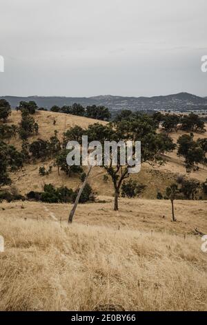 Landschaftlich schöner Blick über Wodonga, VIC vom Huon Hill Lookout aus gesehen. Stockfoto