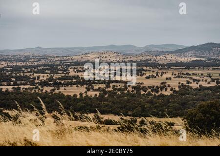 Landschaftlich schöner Blick über Wodonga, VIC vom Huon Hill Lookout aus gesehen. Stockfoto