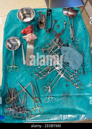 48 Pcs Cesarean Section Surgical Instruments Kit C- Section Set Ob/Gynecology