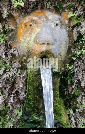 Detail eines Auslaufs innerhalb der hundert Brunnen (Cento Fontane) im Garten der Villa d'Este, Tivoli, Italien Stockfoto