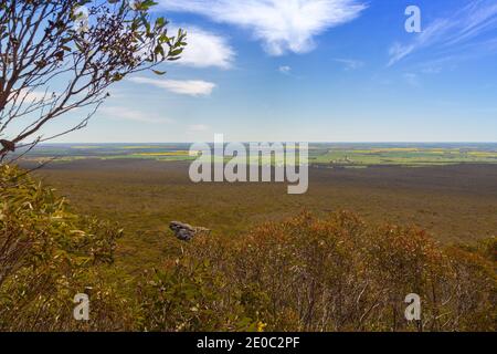 Blick in den Valley of the Sirtling Range Nationalpark in der Nähe von Albany in Western Australia vom Mt. Trio Stockfoto