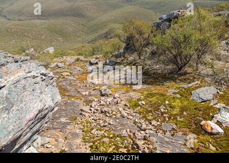 Blick in den Valley of the Sirtling Range Nationalpark in der Nähe von Albany in Western Australia vom Mt. Trio Stockfoto