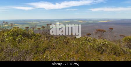 Blick in den Valley of the Sirtling Range Nationalpark in der Nähe von Albany in Western Australia vom Mt. Trio Stockfoto