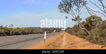 Straße durch den Stirling Range National Park nördlich von Albany In Western Austrlaia Stockfoto