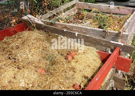 Kompostierung von Gras im Garteneimer, Komposter, organischen Substanzen, Biologisches Verfahren Stockfoto