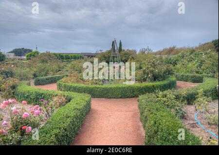 Rosengarten auf dem Woolmers Anwesen in Tasmanien, Australien Stockfoto