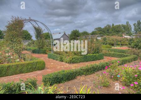 Rosengarten auf dem Woolmers Anwesen in Tasmanien, Australien Stockfoto