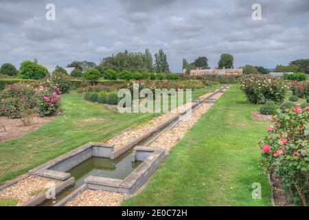 Rosengarten auf dem Woolmers Anwesen in Tasmanien, Australien Stockfoto