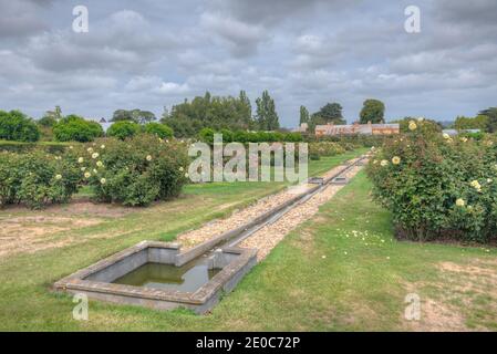 Rosengarten auf dem Woolmers Anwesen in Tasmanien, Australien Stockfoto