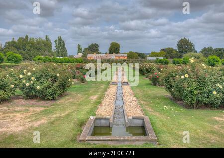 Rosengarten auf dem Woolmers Anwesen in Tasmanien, Australien Stockfoto