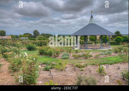 Rosengarten auf dem Woolmers Anwesen in Tasmanien, Australien Stockfoto