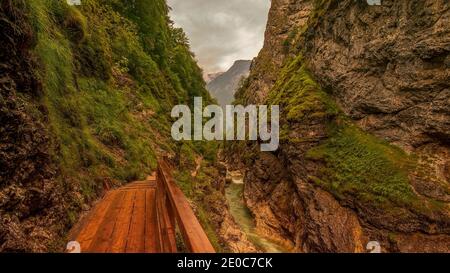 Lammerklamm Schlucht im Salzkammergut in Oberösterreich. Blue Lake River zwischen engen Felsen mit grüner Vegetation und Bäume abgedeckt Stockfoto