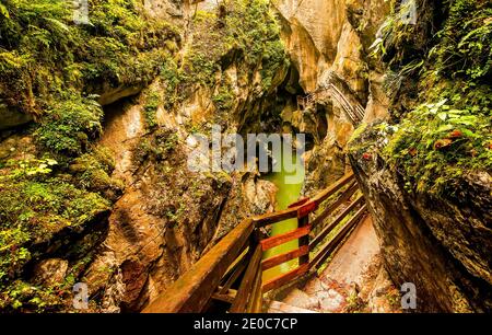 Lammerklamm Schlucht im Salzkammergut in Oberösterreich. Blue Lake River zwischen engen Felsen mit grüner Vegetation und Bäume abgedeckt Stockfoto