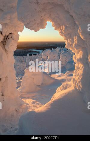 ISO Syote; Bäume im Winter; Finnland Stockfoto