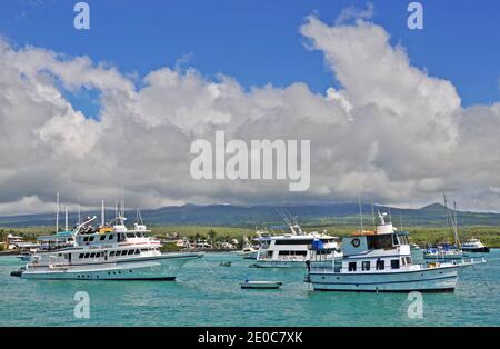 Boote in Puerto Ayora Bucht, Santa Cruz Insel, Galapagos Inseln, Ecuador Stockfoto