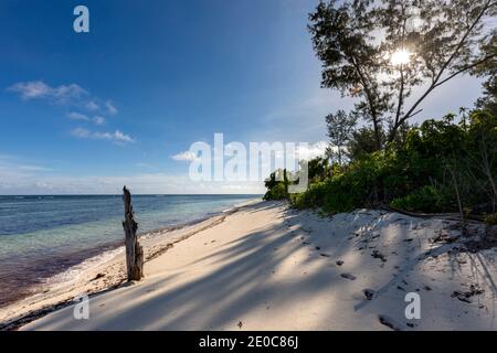 Bird Island; Seychellen Stockfoto