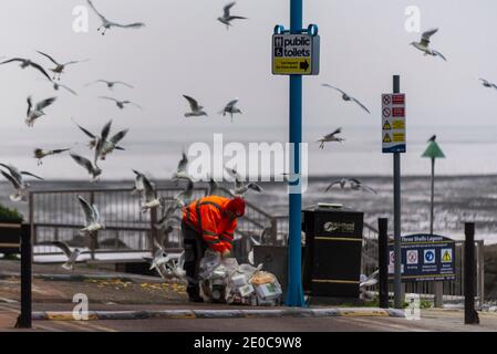 Southend on Sea, Essex, Großbritannien. Dezember 2020. Der letzte Tag des Jahres 2020 ist kalt und frostig mit Temperaturen unter dem Gefrierpunkt angebrochen. Obwohl es in COVID 19 Tier 4 ist, ist die Stadt sehr beliebt, mit Besuchern, die sich an den Strandpromenaden drängen. Um dem entgegenzuwirken, hat der rat angekündigt, dass sie die Parkplätze am Meer schließen werden und die Menschen dazu ersuchen, fern zu bleiben. Die lokalen Behörden in Essex haben einen „großen Zwischenfall“ erklärt, wobei das Krankenhaus Southend ‘mKapazität hat. Besucher haben die Mülleimer am Meer gefüllt, mit Möwen in der Hoffnung, ein Futter zu bekommen, wie sie geleert werden Stockfoto