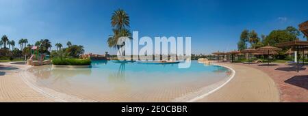 Panoramablick mit großer Dattelpalme phoenix dactylifera Auf der Insel im Infinity-Pool im luxuriösen tropischen Hotel Resort Stockfoto