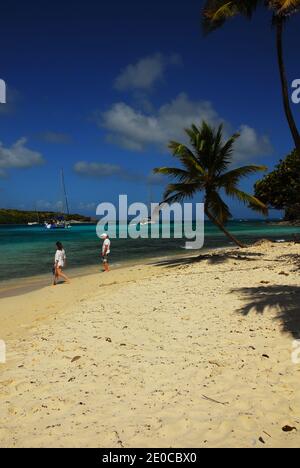 Karibik: Windward Islands: St. Vincent und die Grenadinen: Tobago Cays Stockfoto
