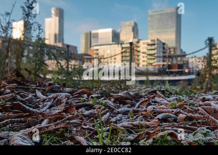 Frosted Winter Blätter, Hausboote in Poplar Dock Marina und Canary Wharf in Sonnenschein, 31. Dezember 2020 Stockfoto