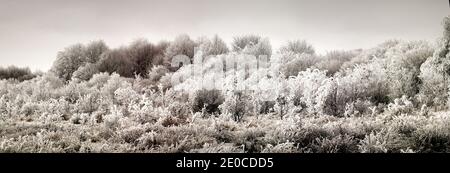 Erdbeobachtung, Zeit vor dem Winter. Der Winter ist von den Bergen zu den Ausläufern herabgestiegen. Frost überzogen Bäume, Sträucher und Gräser, gefrorene Gewässer Stockfoto