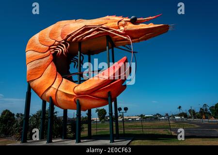 Die Big Prawn in Ballina ist eines der Big Things in Australien. Stockfoto