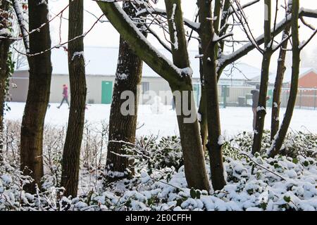Schnee auf Büschen, Bäumen und Ästen im Park, schneebedeckt, Baumstämme, Schneemann, Winterschneetag in Manchester, England Stockfoto