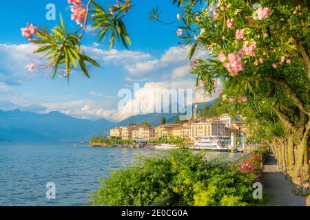 Bellagio und Berge vom See aus gesehen voller blühender Pflanzen, Comer See, Comer Provinz, Lombardei, Italienische Seen, Italien, Europa Stockfoto