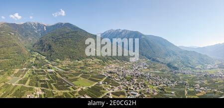 Luftpanorama von Apfelplantagen zwischen ländlichen Dörfern und Bergen, Valtellina, Provinz Sondrio, Lombardei, Italien, Europa Stockfoto