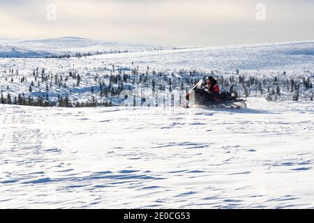 Mann, der eine Fahrt auf dem Schneemobil in der verschneiten Landschaft von Saariselka, Inari, Lappland, Finnland, Europa Stockfoto