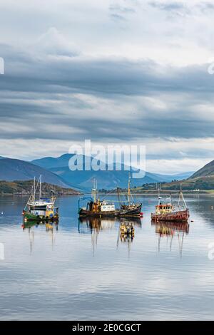 Fischerboote, Bay of Ullapool, Ross and Cromarty, Highlands, Schottland, Vereinigtes Königreich, Europa Stockfoto