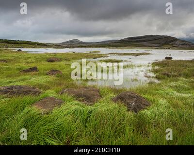 Mullagh More, Burren National Park, County Clare, Munster, Republik Irland, Europa Stockfoto
