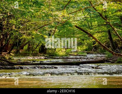 Kaskaden am Fluss Tanew, Szumy nad Tanwia, Naturschutzgebiet Tanew, Roztocze, Woiwodschaft Lublin, Polen, Europa Stockfoto