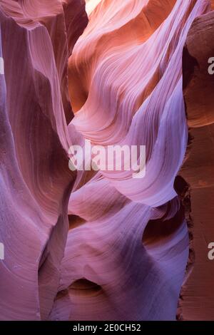 Die farbenfrohen Navajo Sandsteinwände des Lower Antelope Canyon, vom Wasser in abstrakte Muster gemeißelt, Page, Arizona, Vereinigte Staaten von Amerika Stockfoto