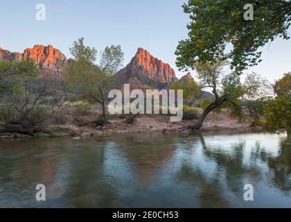 Blick vom Pa'rus Trail über den Virgin River zum Watchman bei Sonnenuntergang, Herbst, Zion National Park, Utah, Vereinigte Staaten von Amerika Stockfoto