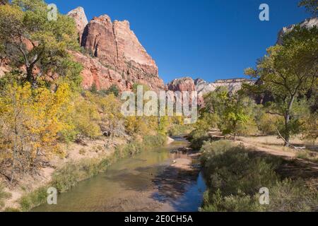 Blick auf den Virgin River zu Angels Landing vom Emerald Pools Trail, Herbst, Zion National Park, Utah, USA Stockfoto