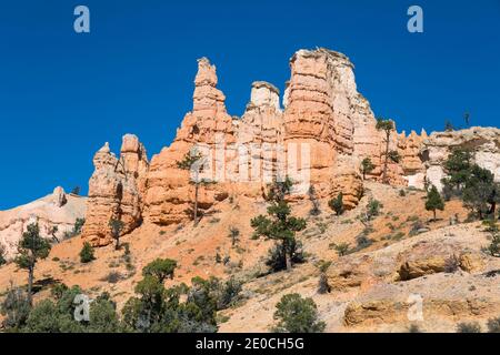 Typische Felsritter, die über dem Mossy Cave Trail, dem Water Canyon, dem Bryce Canyon National Park, Utah, Vereinigte Staaten von Amerika ragen Stockfoto