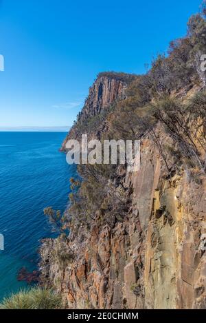 Cliffs of Fluted Cape auf Bruny Island in Tasmanien, Australien Stockfoto