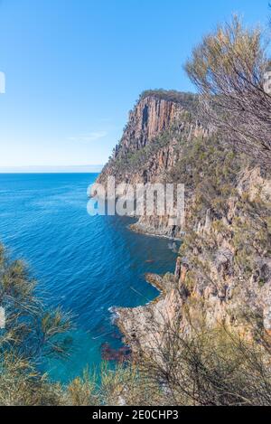 Cliffs of Fluted Cape auf Bruny Island in Tasmanien, Australien Stockfoto