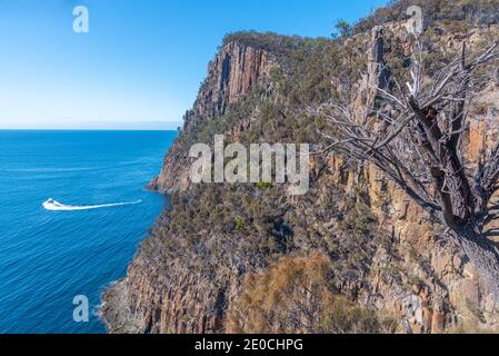 Cliffs of Fluted Cape auf Bruny Island in Tasmanien, Australien Stockfoto