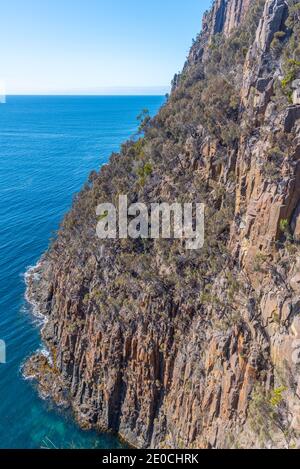 Cliffs of Fluted Cape auf Bruny Island in Tasmanien, Australien Stockfoto