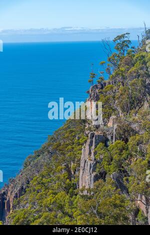 Cliffs of Fluted Cape auf Bruny Island in Tasmanien, Australien Stockfoto
