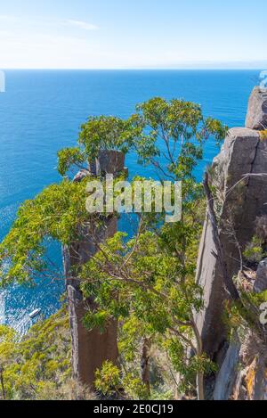 Cliffs of Fluted Cape auf Bruny Island in Tasmanien, Australien Stockfoto