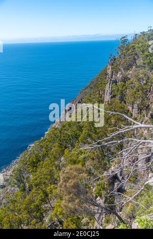 Cliffs of Fluted Cape auf Bruny Island in Tasmanien, Australien Stockfoto