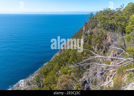 Cliffs of Fluted Cape auf Bruny Island in Tasmanien, Australien Stockfoto