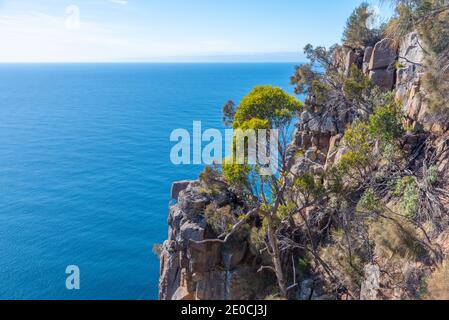 Cliffs of Fluted Cape auf Bruny Island in Tasmanien, Australien Stockfoto