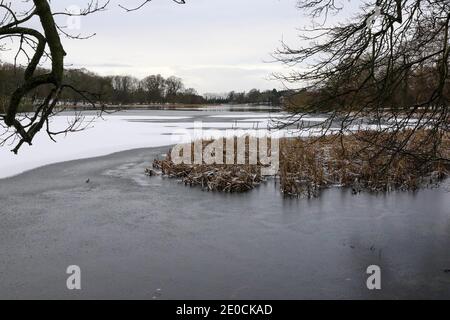 Lurgan Park, County Armagh, Nordirland, 31. Dezember 2020. UK Wetter - der letzte Tag des Jahres und der erste Schneefall des Winters im Lurgan Park. Kredit: David Hunter/Alamy Live Nachrichten. Stockfoto