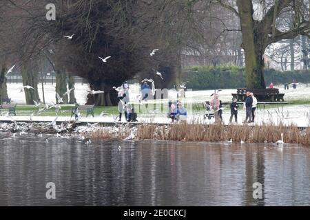 Lurgan Park, County Armagh, Nordirland, 31. Dezember 2020. UK Wetter - der letzte Tag des Jahres und der erste Schneefall des Winters im Lurgan Park. Kredit: David Hunter/Alamy Live Nachrichten. Stockfoto